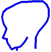 頭の形